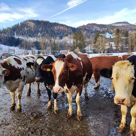 Moritz * Bad Mitterndorf