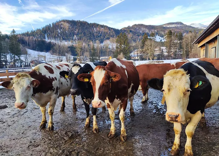 Moritz * Bad Mitterndorf